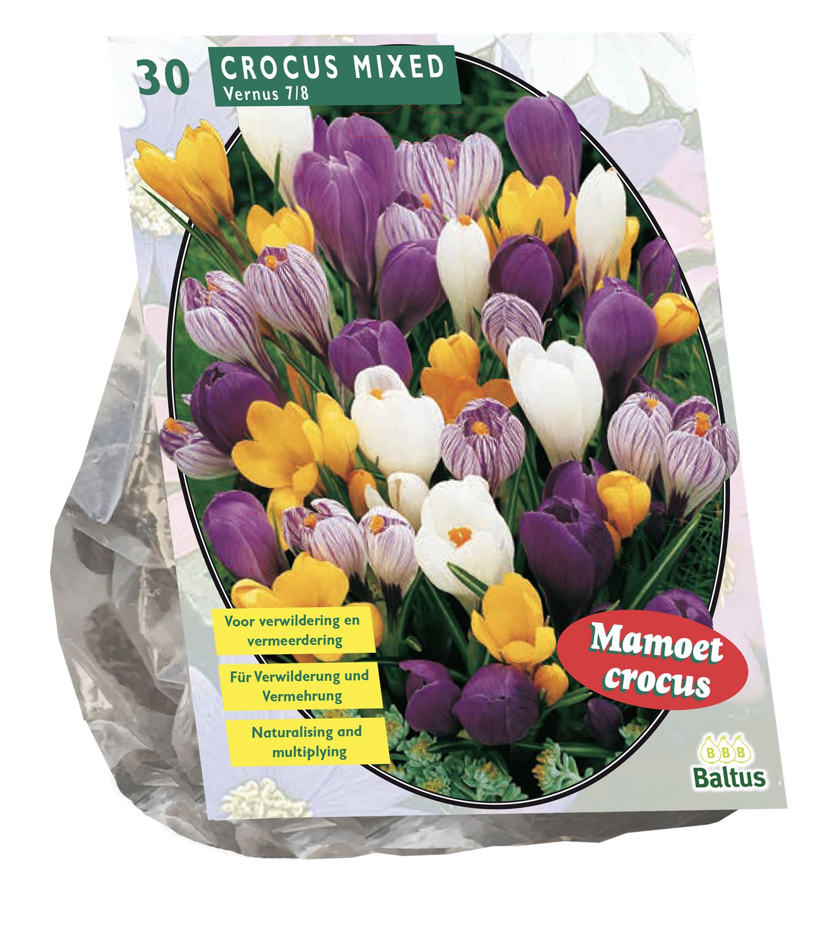 Baltus 'Crocus Grootbloemig' - voorjaarsbloeiers - Mix - 30 bollen