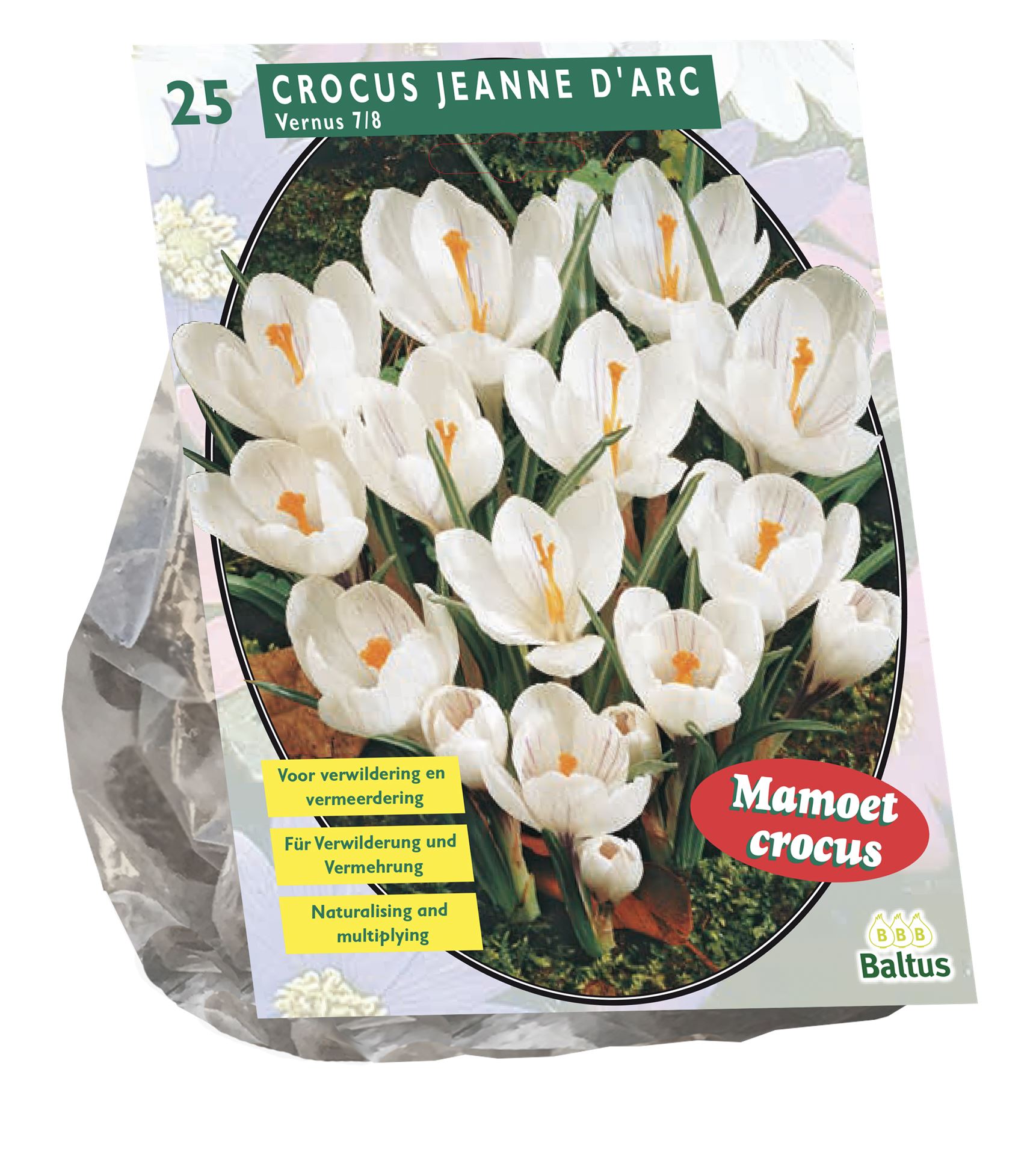 Baltus'Crocus Grootbloemig'voorjaarsbloeiers - Wit - 25 bollen afbeelding
