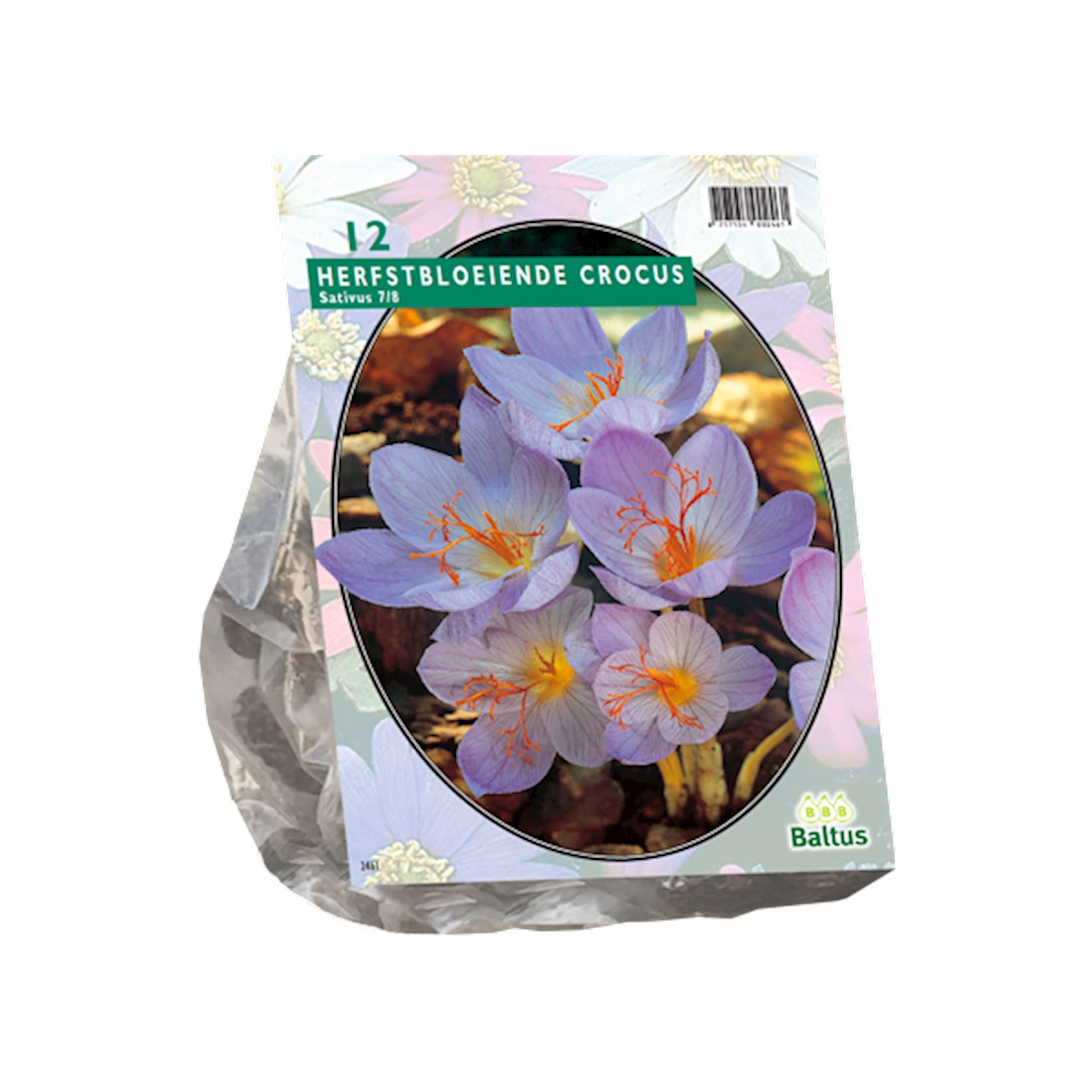 Baltus 'Crocus Sativus - voorjaarsbloeiers - 12 bollen