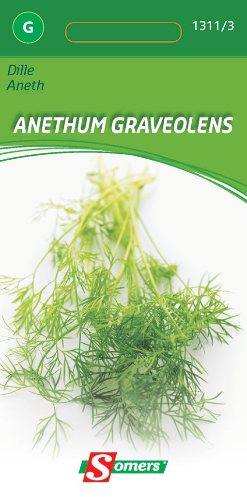 Somers Dille - Zaadvast dille afbeelding