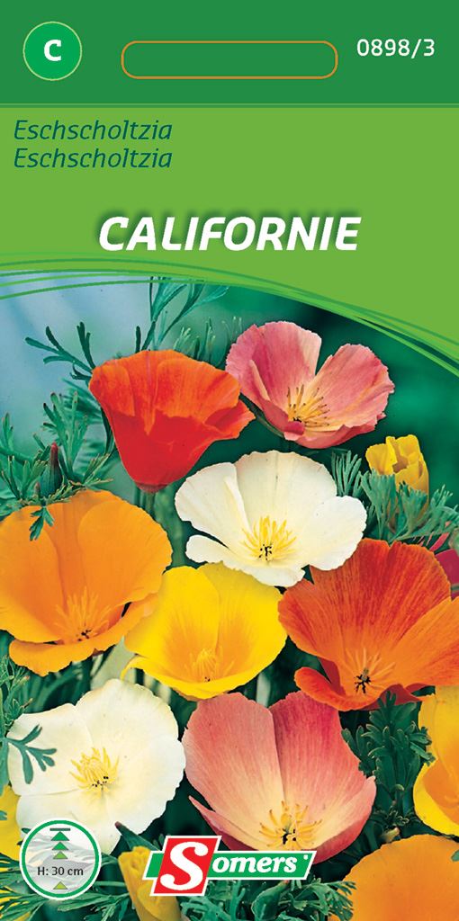 Somers Eschscholtzia Californie afbeelding