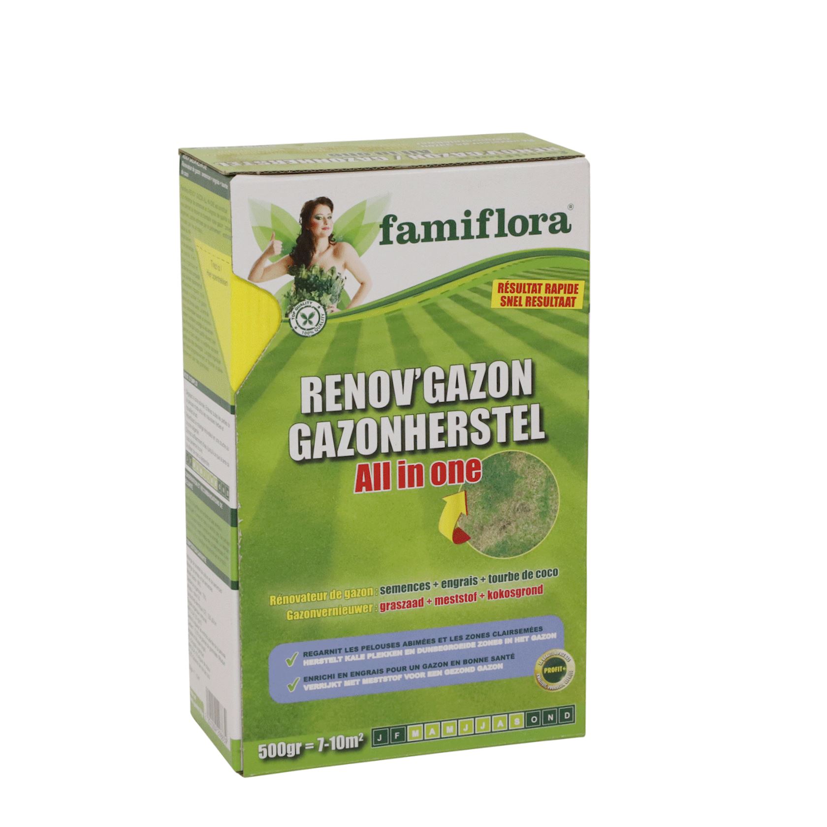 Famiflora graszaad 500g tot 10m² - gazonherstel incl. meststof - kale plekken herstellen afbeelding
