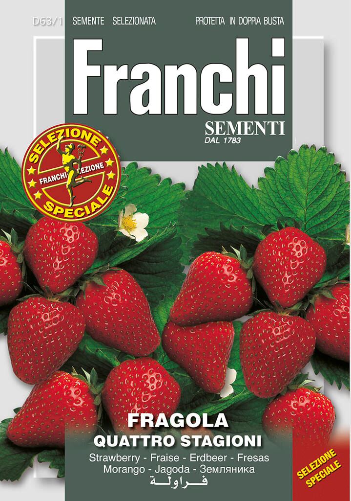 Franchi Sementi Aardbei zaden - Fragola Quatro Stagioni afbeelding