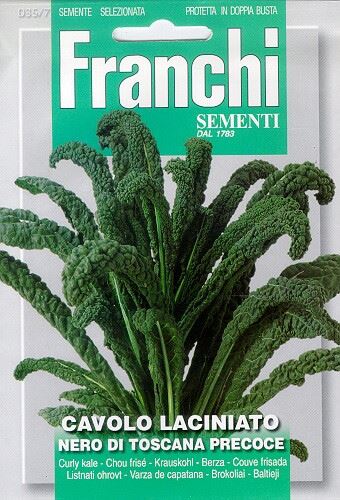 Franchi Sementi Bladkool zaden - Cavolo Laciniato Nero Di Toscana afbeelding