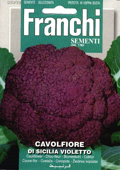 Franchi Sementi Bloemkool Violet zaden - Cavolfiore Sicilia Violetto afbeelding