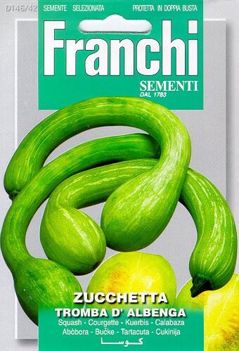 Franchi Sementi Kalebas zaden - Tromba D'Albenga afbeelding