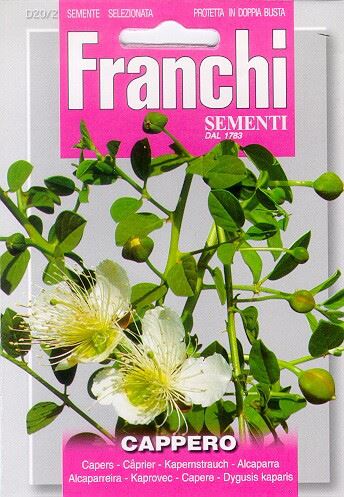 Franchi Sementi Kappertjes zaden - Cappero afbeelding