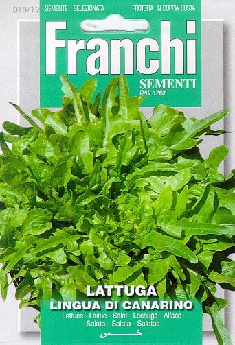 Franchi Sementi Kropsla zaden - Kleinbladig - Lattuga Lingua Di Canarino afbeelding