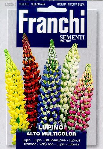 Franchi Sementi Lupine zaden - Lupino Alto Multicolor afbeelding