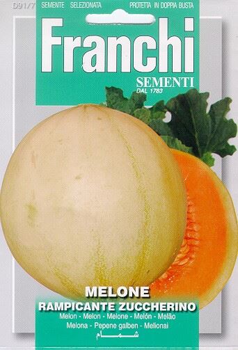Franchi Sementi Meloen zaden - Melone Rampicante Zuccherino afbeelding