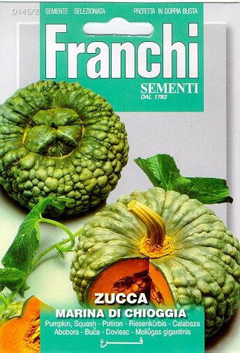 Franchi Sementi Pompoen zaden - marina di Chioggia afbeelding