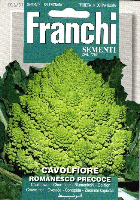 Franchi Sementi Romanesco zaden - Cavolfiore Romanesco Precoce afbeelding