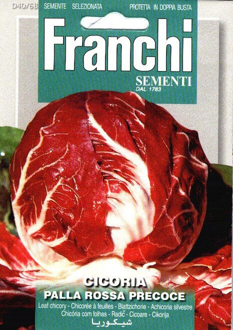 Franchi Sementi Roodlof zaden - Cicoria Palla Rossa Precoce afbeelding
