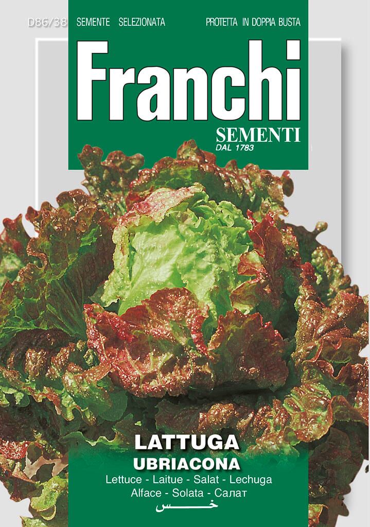 Franchi Sementi Sla zaden - Ubriacona afbeelding