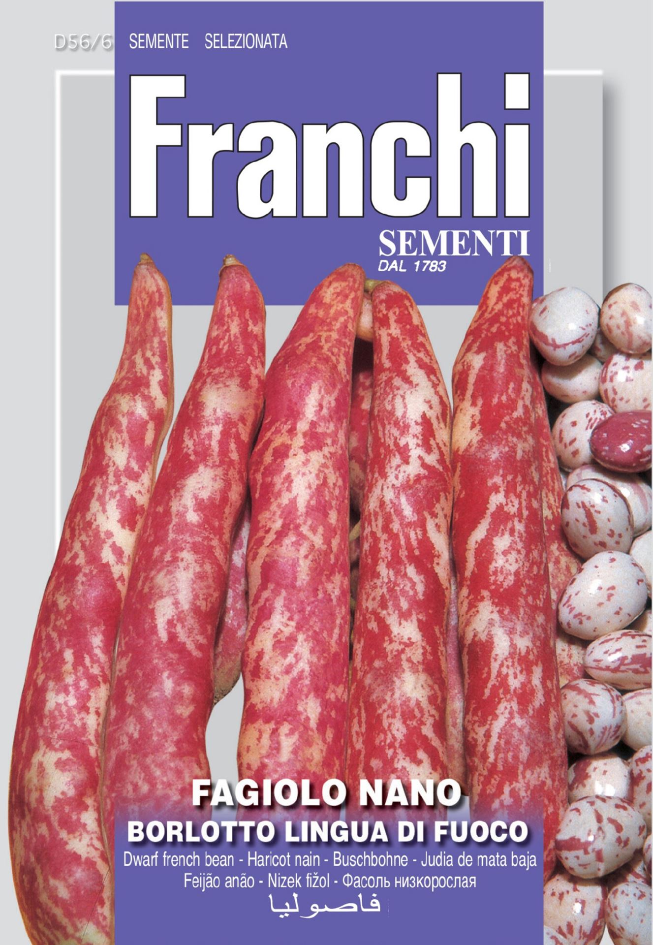 Franchi Sementi Stamboon zaden - Kievits Lage Fagiolo Borlotto - 50g afbeelding