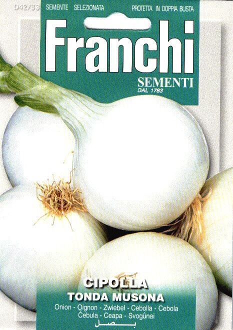 Franchi Sementi Uien zaden - Wit - Cipolla Tonda Musona afbeelding