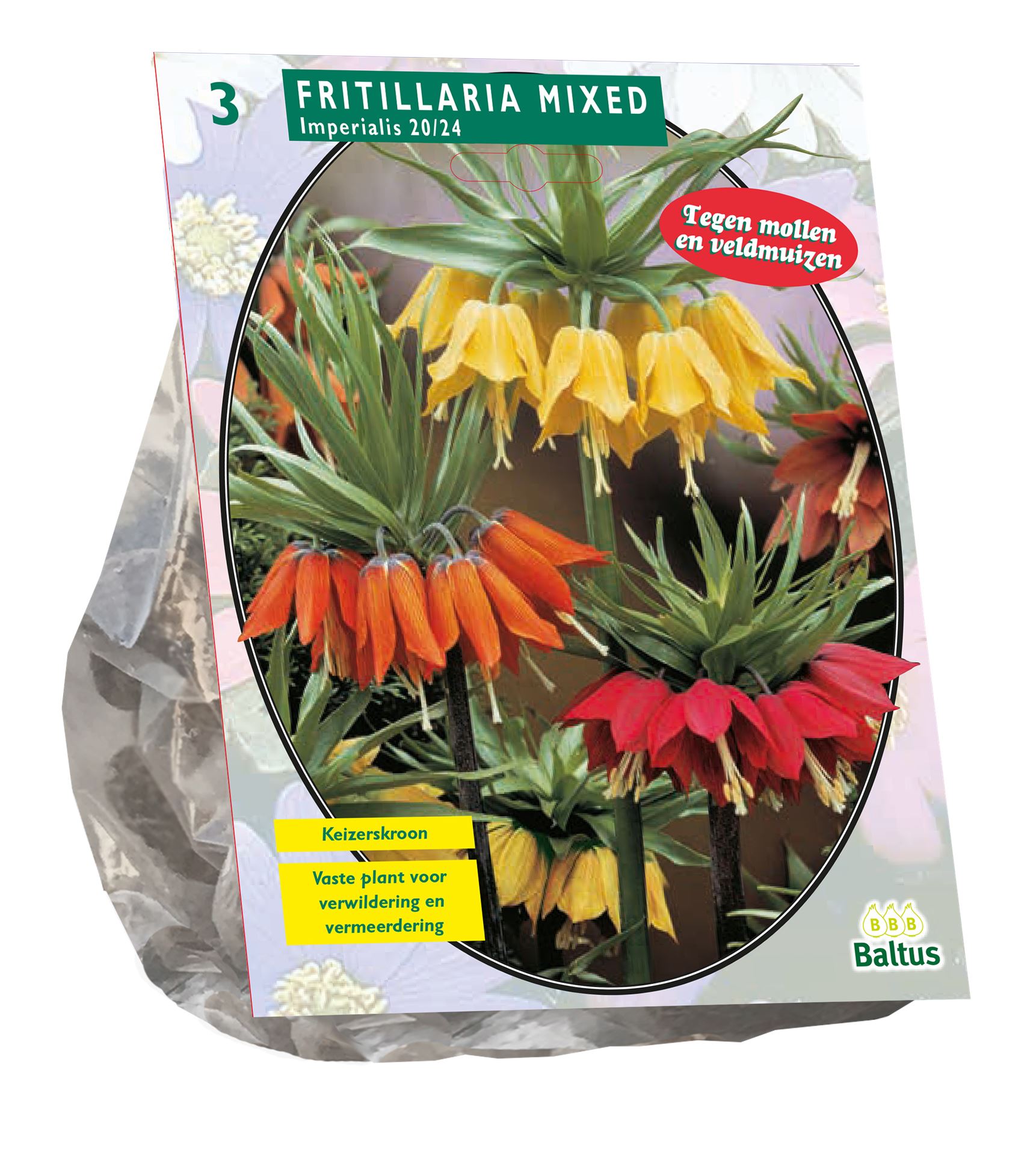 Baltus'Fritillaria Imperialised'voorjaarsbloeiers - Mix - 3 bollen afbeelding