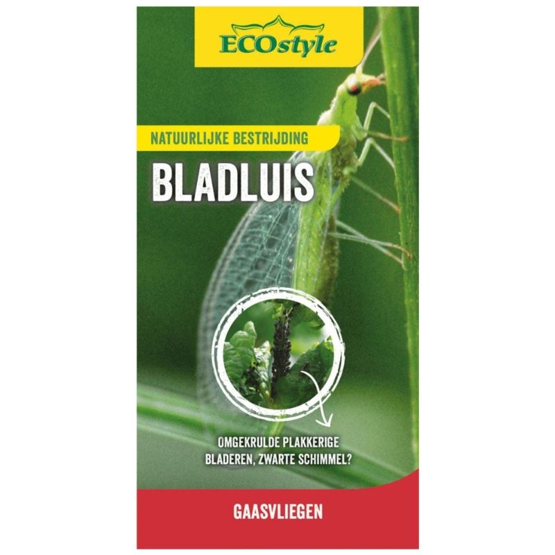 ECOstyle - 500 larven van gaasvliegen tegen bladluis afbeelding