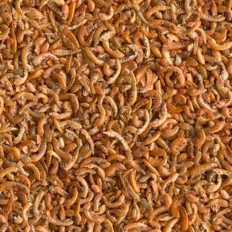 Gammarus 0,5 kg - Gedroogde Garnaaltjes voor Vissen en Reptielen, Verhoogt Gezondheid en Kleur, Ideaal voor Diverse Huisdieren afbeelding