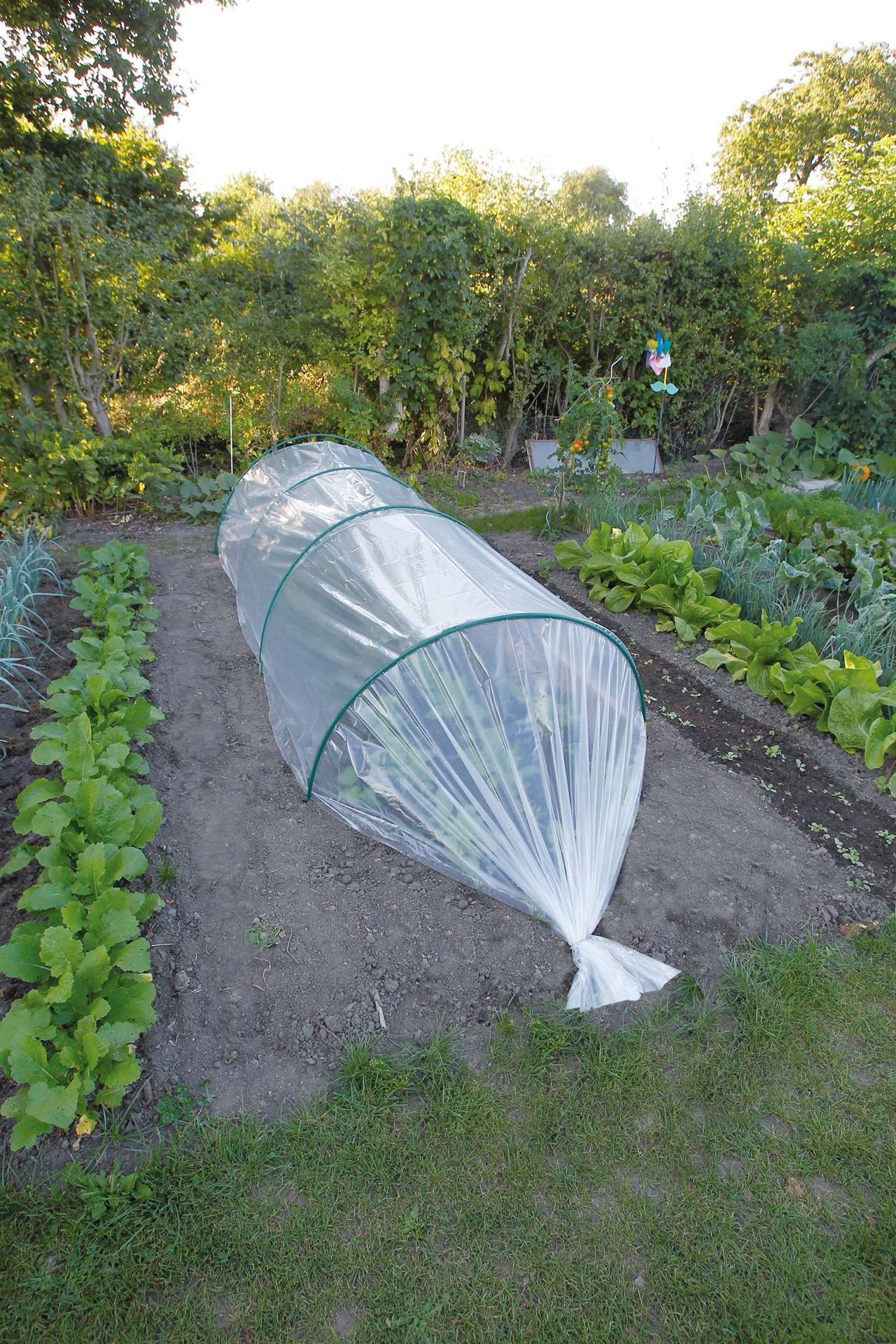 Nature groei- en afdekfolie - 2m breed - per lopende meter - transparant afbeelding
