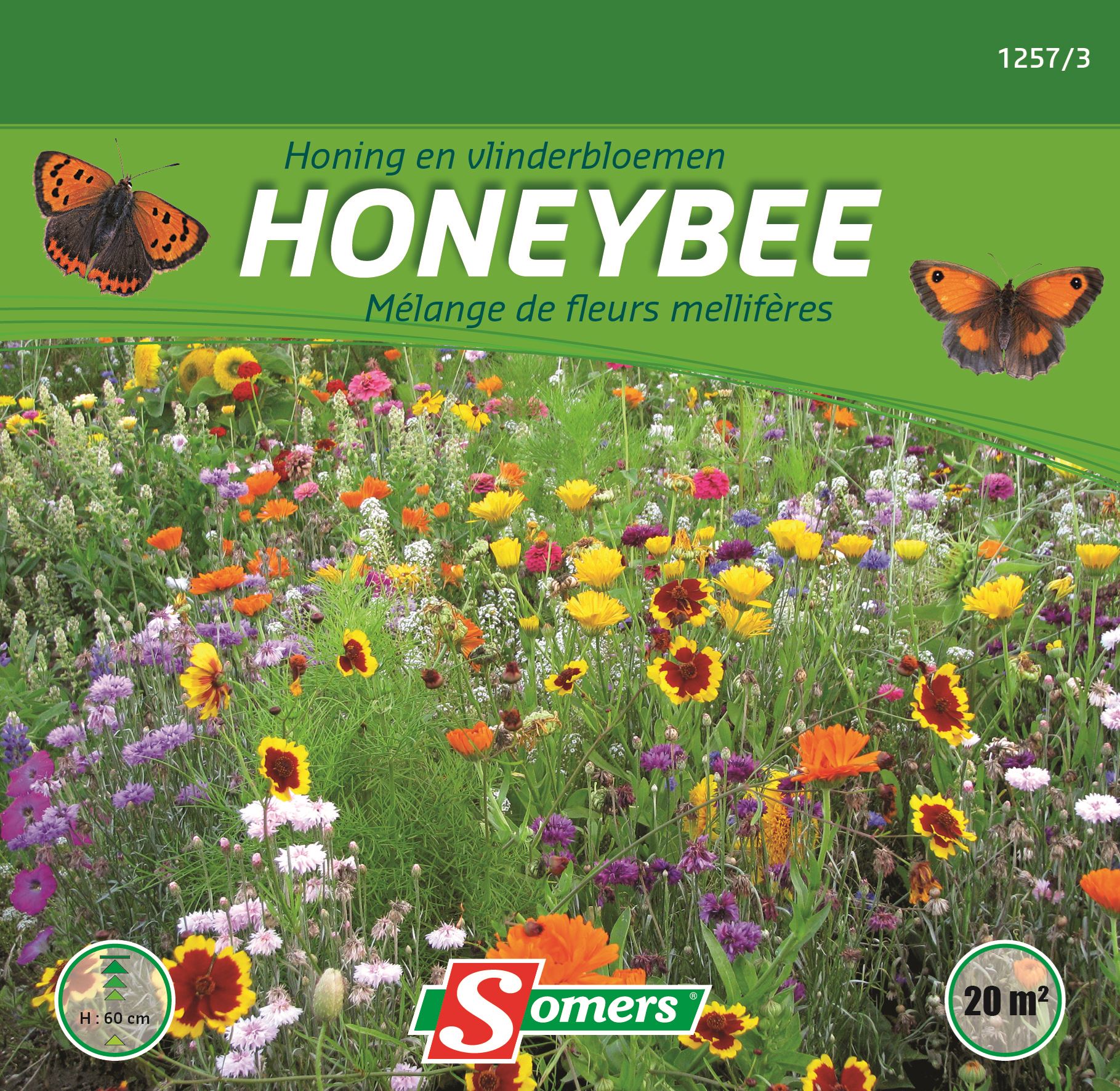 Somers bloemenweide - honing- en vlinderbloemen afbeelding
