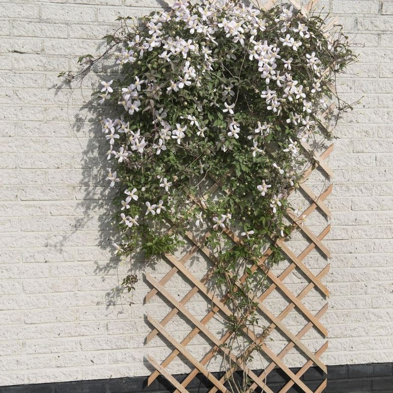 Nature verstelbaar houten klimrek - 50 x 150 cm - naturel