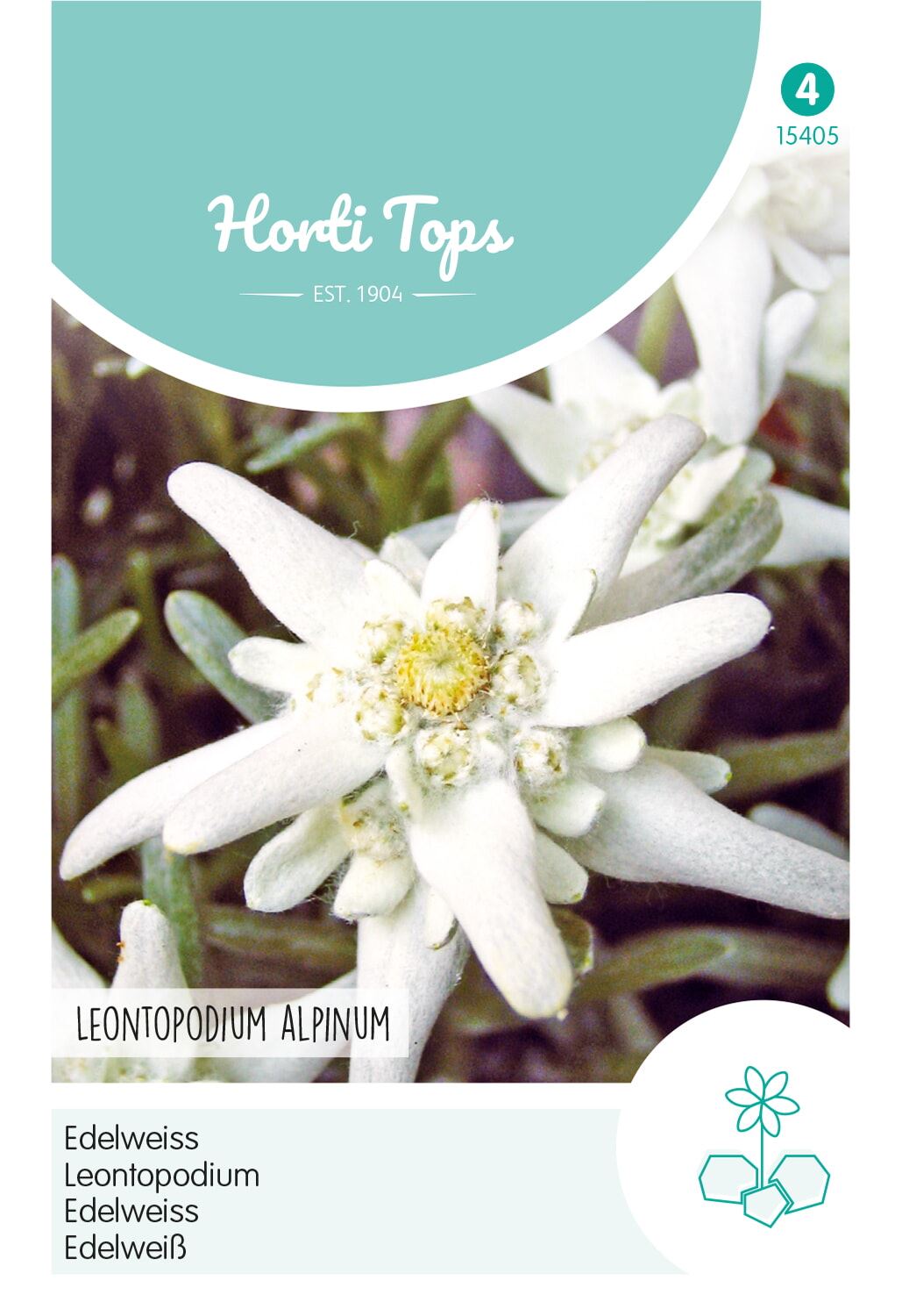 Horti Tops Edelweiss zaden - Leontopodium Alpinum afbeelding