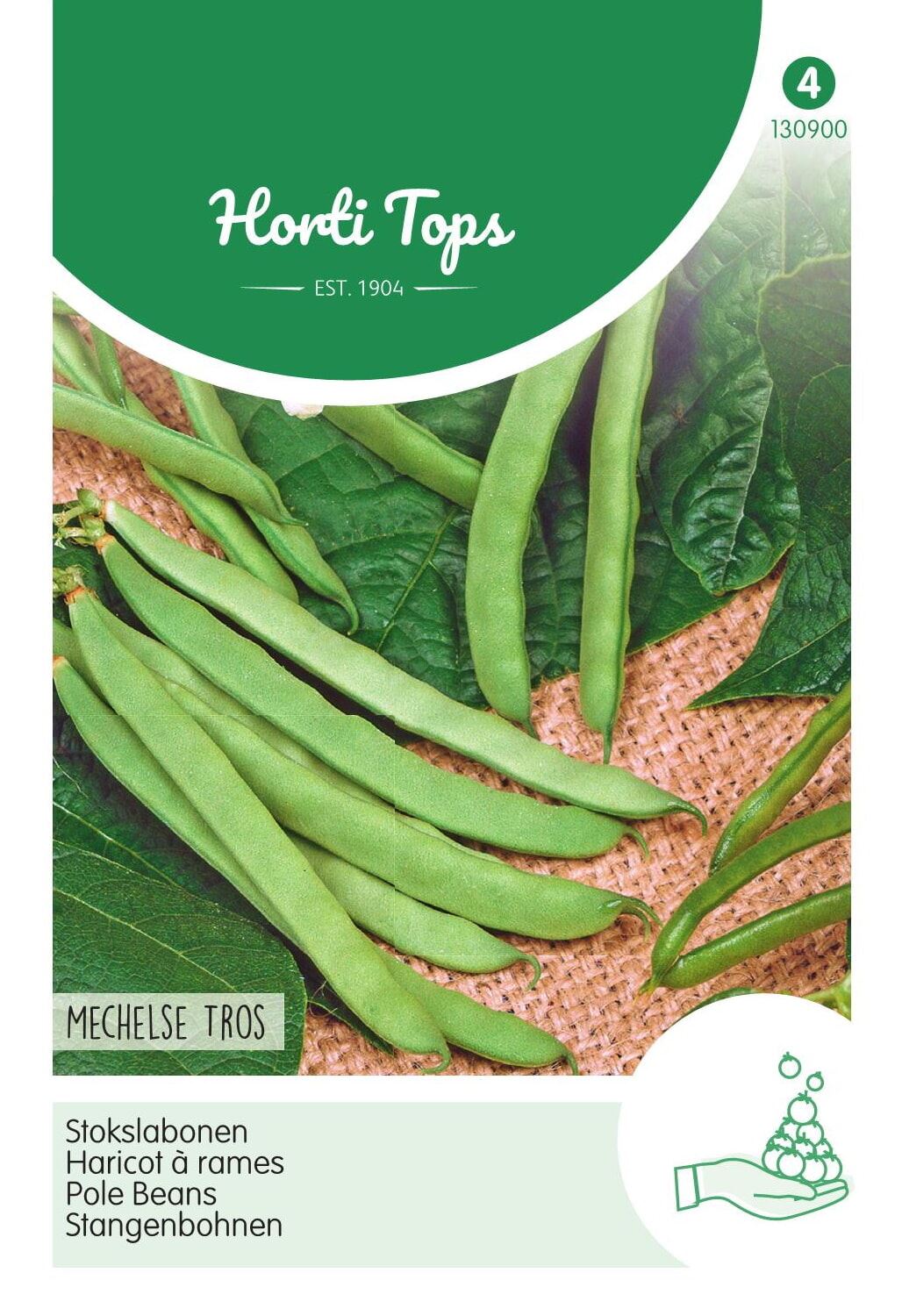 Horti Tops stokslabonen Mechelse Tros - Draadloze bonen - 25 gram afbeelding