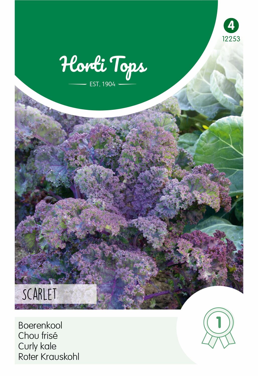 Horti Tops Paarse Boerenkool zaden - Scarlet afbeelding