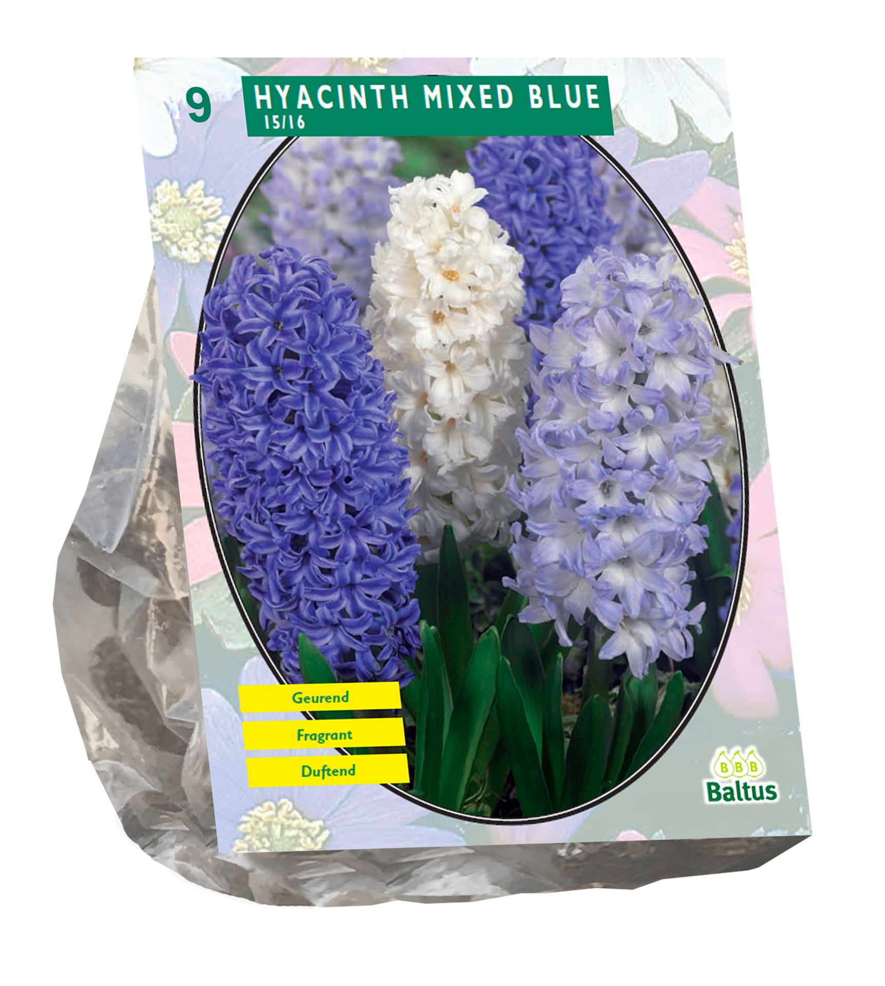 Baltus hyacinten'Hyacinth Mixed Blue'- blauw - voorjaarsbloeiers - 9 bloembollen afbeelding