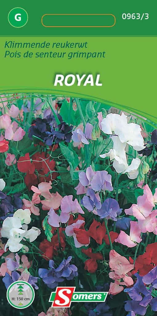 Somers Klimmende Reukerwten Royal afbeelding