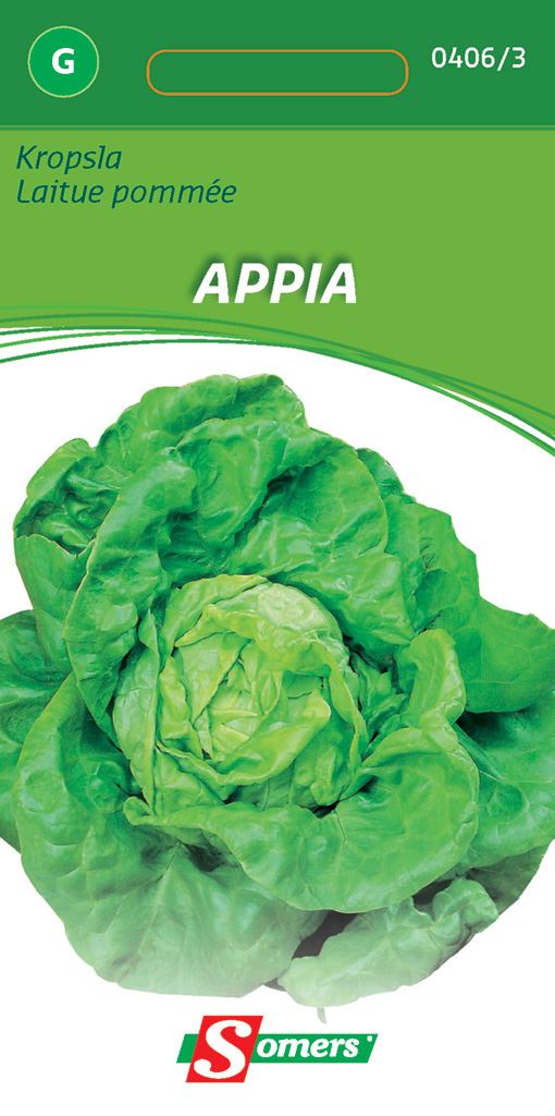 Somers Kropsla Appia - Zaadvast kropsla afbeelding