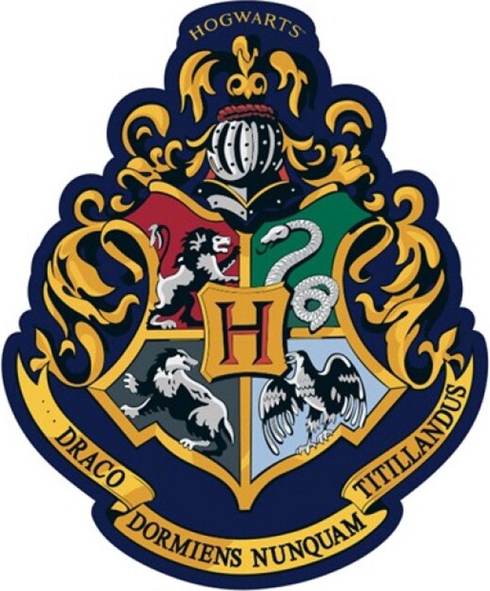 Harry Potter kussen - Velour - 33 x 22 cm - Hogwarts afbeelding