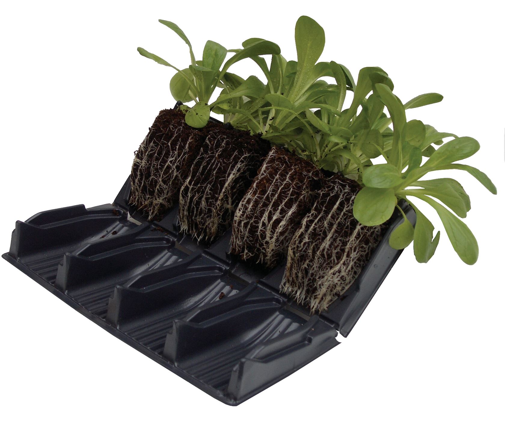 Haxnicks kweektray - Compact Rapid Rootrainer afbeelding
