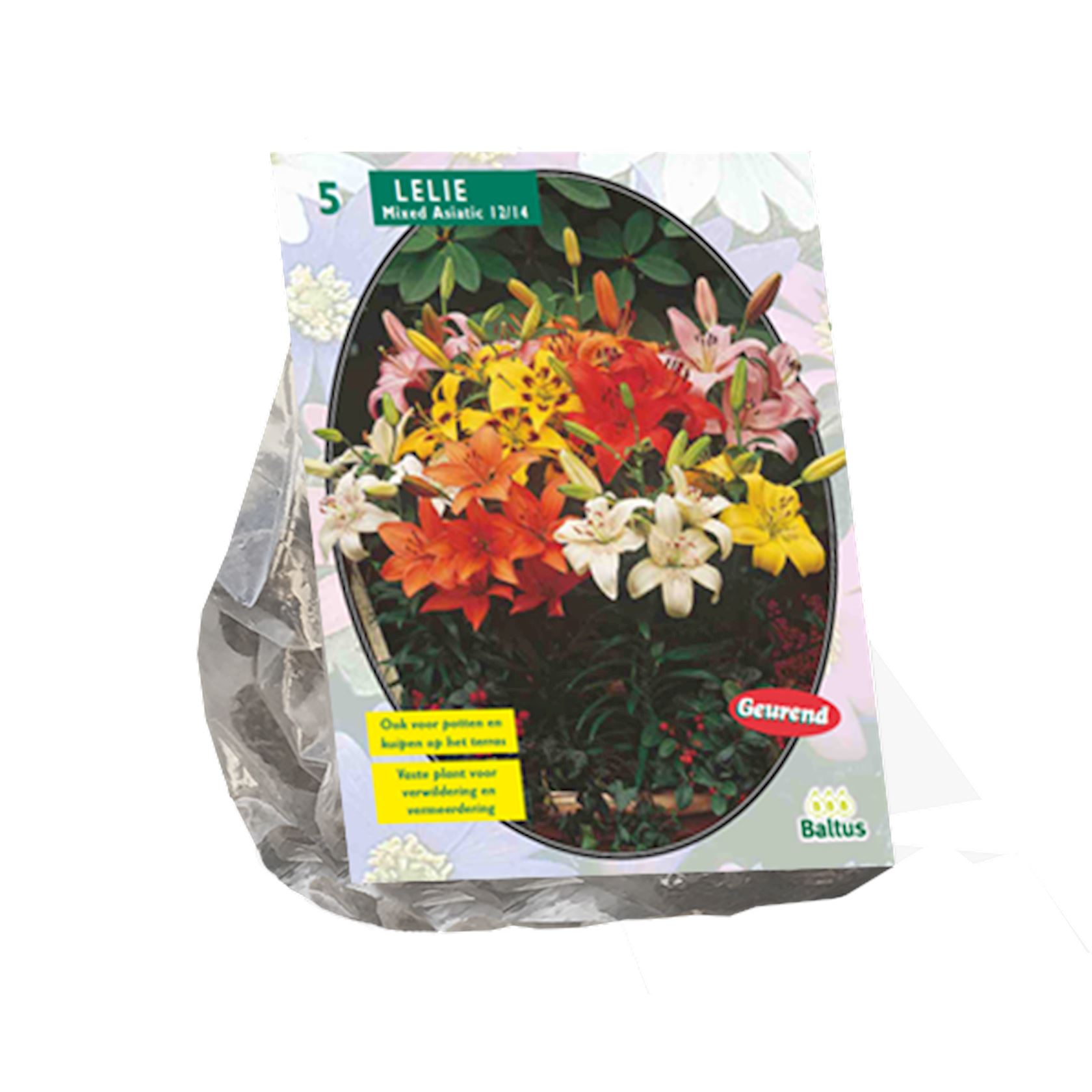 Baltus 'Lilium' - Mix - voorjaarsbloeiers - 5 bollen - Najaarsbloembollen