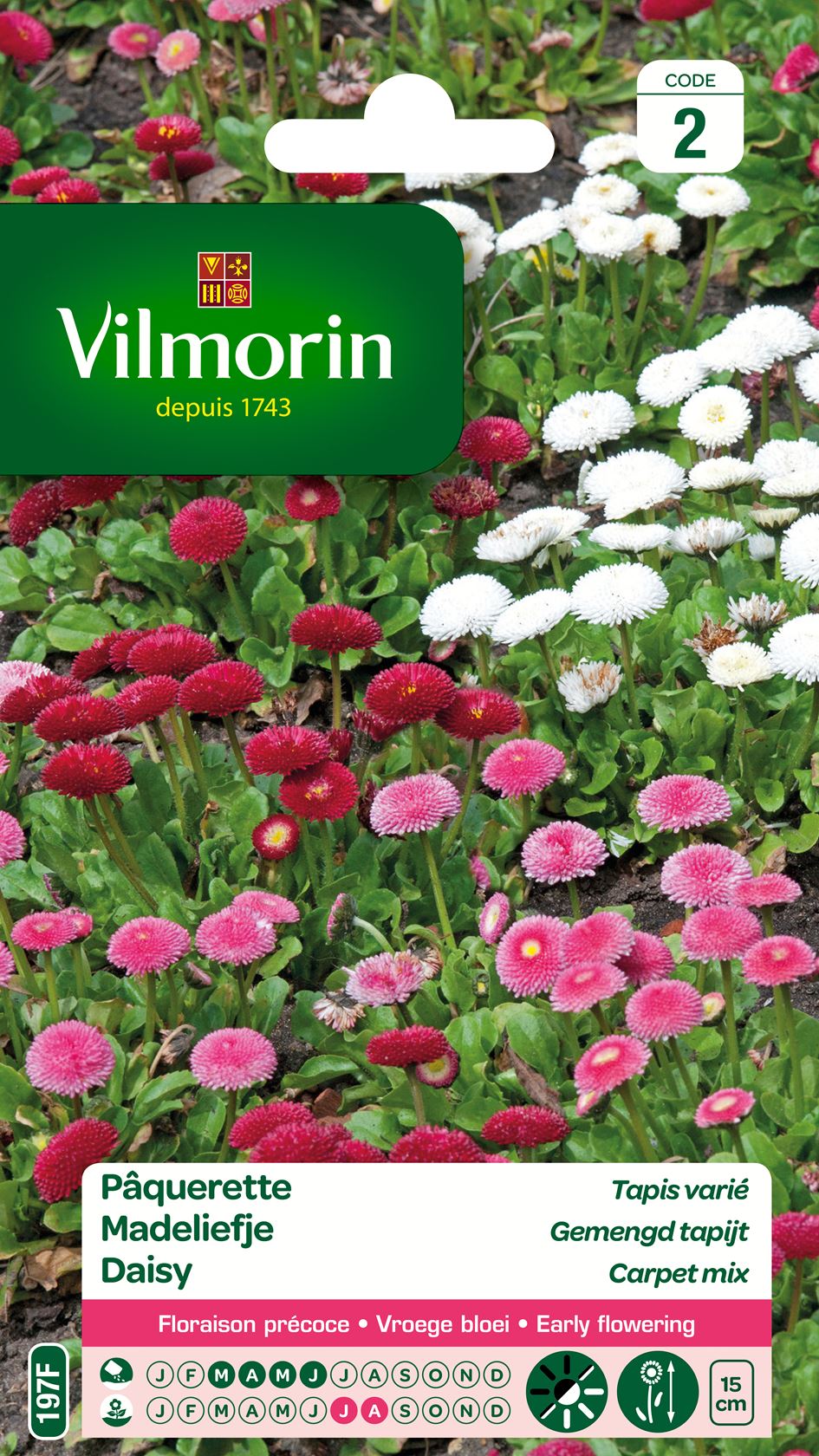 Vilmorin Madeliefje zaden - gemengd tapijt afbeelding