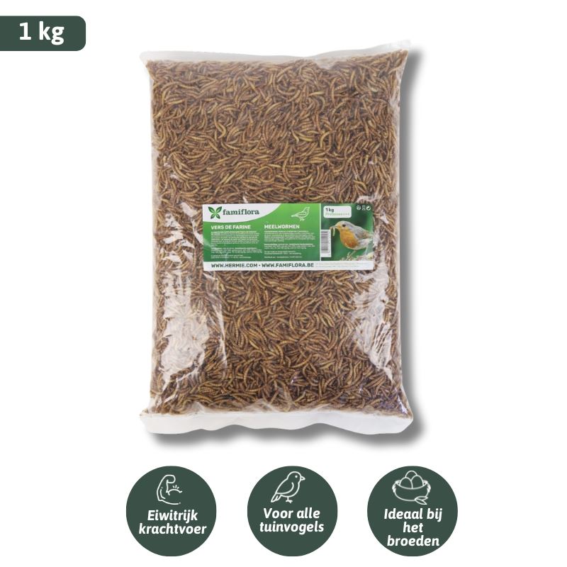 Famiflora gedroogde meelwormen 1 kg =± 6L in zak - voor tuinvogels, kippen en vissen afbeelding