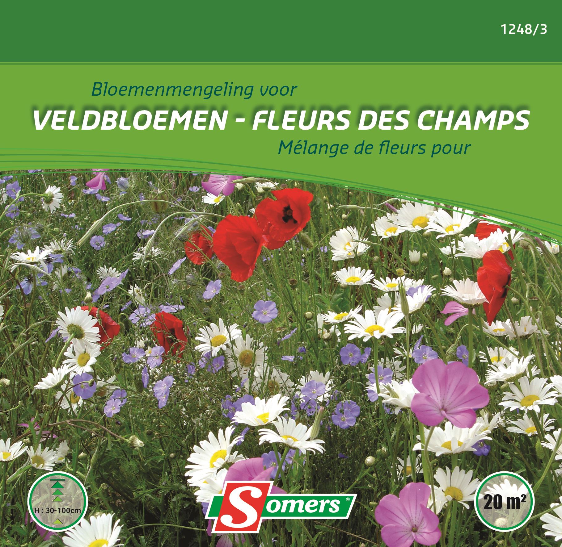 Somers bloemenweide - veldbloemen afbeelding