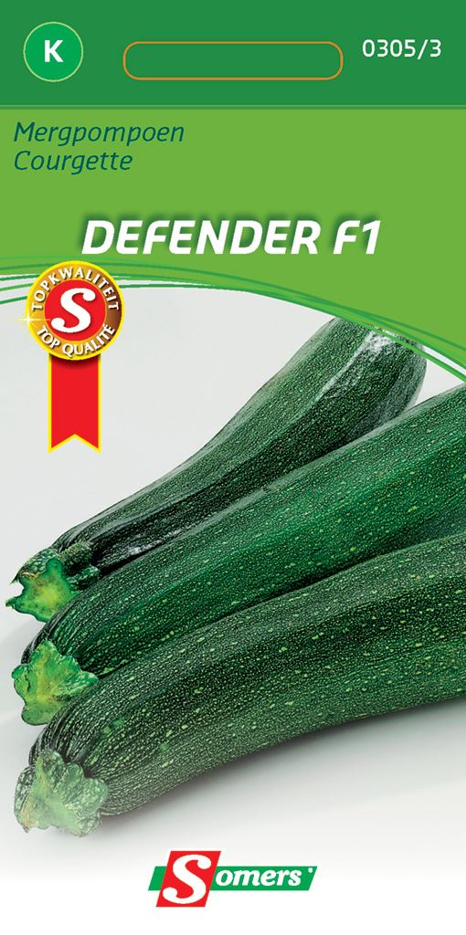 Somers Mergpompoen Defender F1 - Hybride courgette afbeelding
