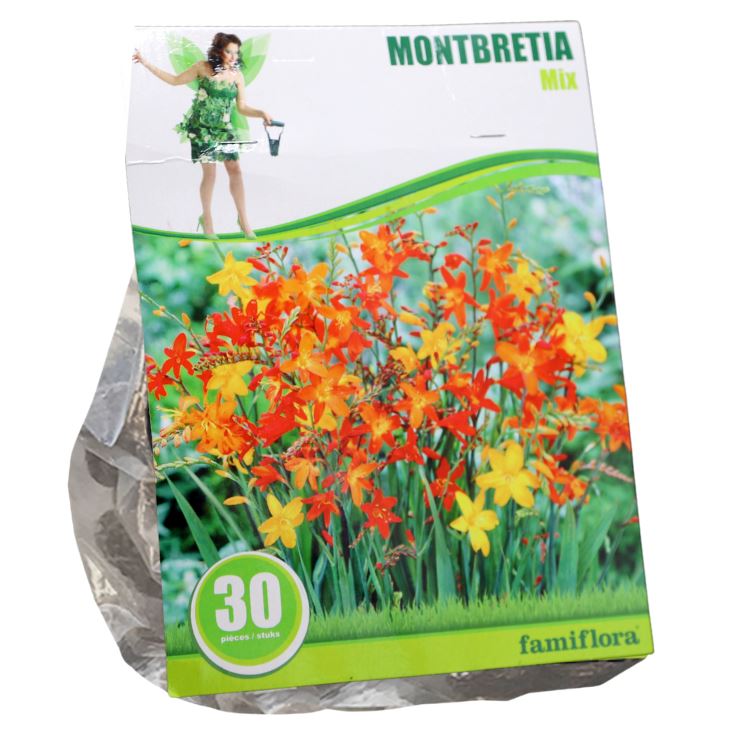 Famiflora Crocosmia (Crocosmiiflora)'Montbretia'- Najaarsbloeiers - Per 30 bollen (rood, geel) afbeelding
