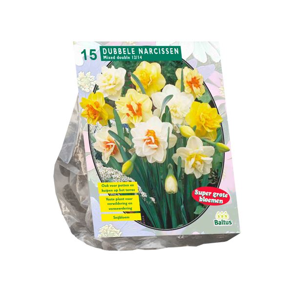Baltus 'Narcis Dubbel' - voorjaarsbloeiers - Mix - 15 bollen
