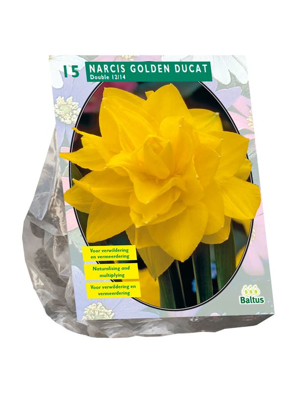 Baltus 'Narcis Golden Ducat' - voorjaarsbloeiers - 15 bollen