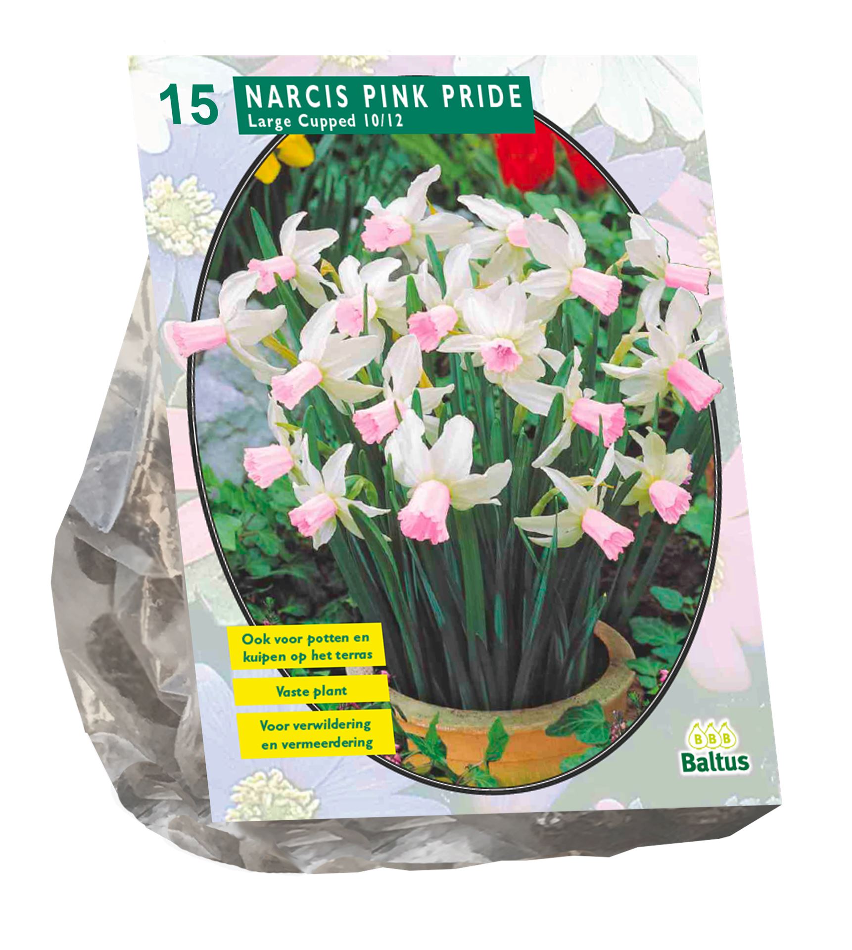Baltus narcissen'Narcis Pink Charm'voorjaarsbloeiers - Roze - 15 bloembollen afbeelding