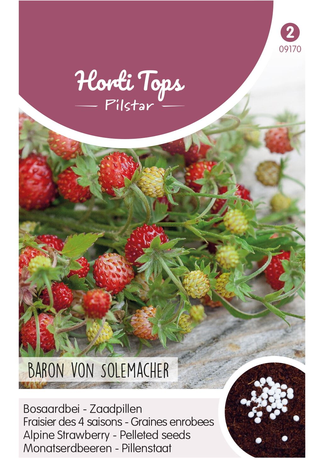Horti Tops Pilstar aardbeien Baron von Solemacher zaadpillen - Bosaardbei afbeelding