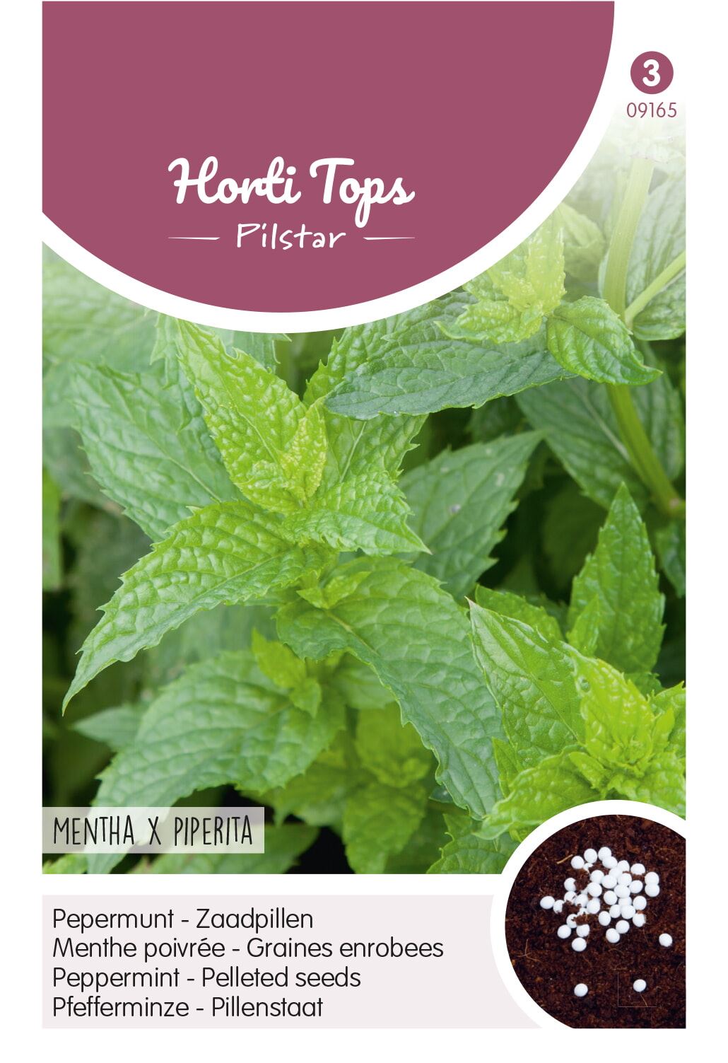 Horti Tops Pilstar pepermunt zaadpillen afbeelding