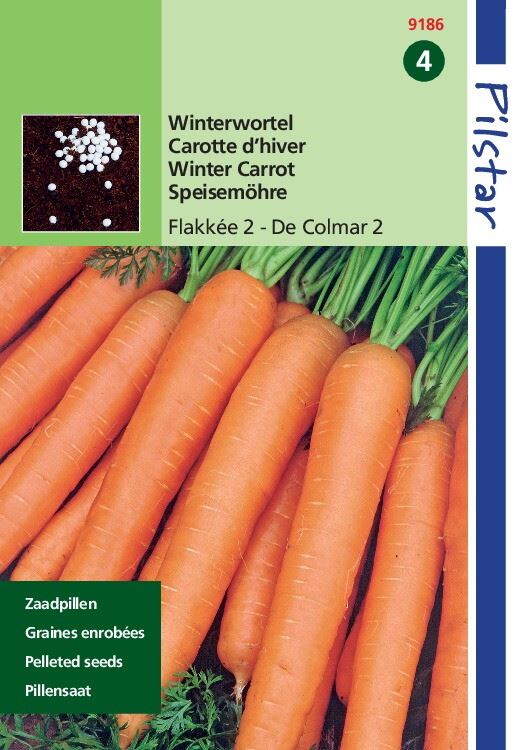 Horti Tops Pilstar Pillenzaden Wortelen zaden - Winter Flakkée afbeelding