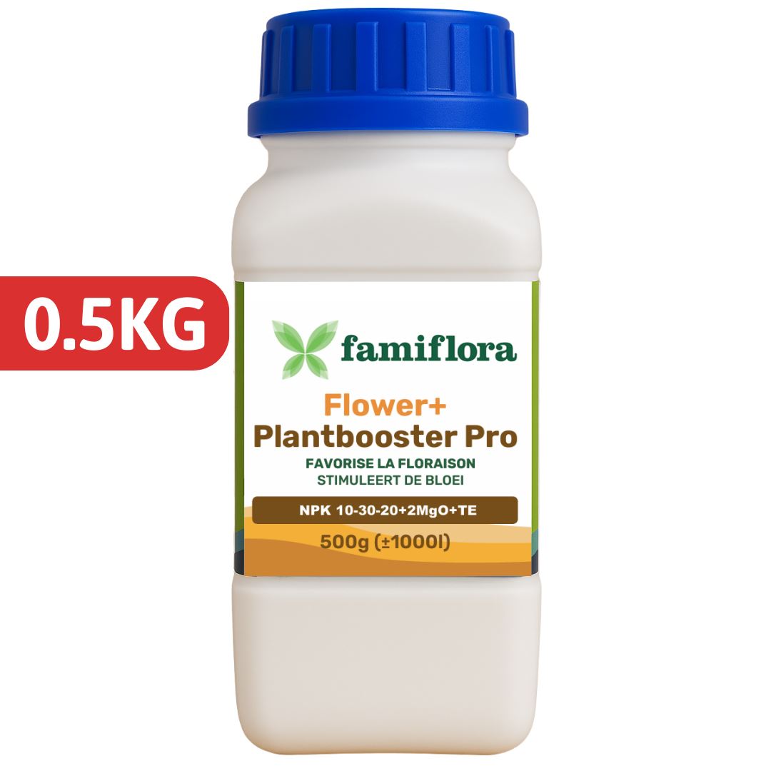 Famiflora meststof voor binnen-&buitenplanten - 500 g afbeelding