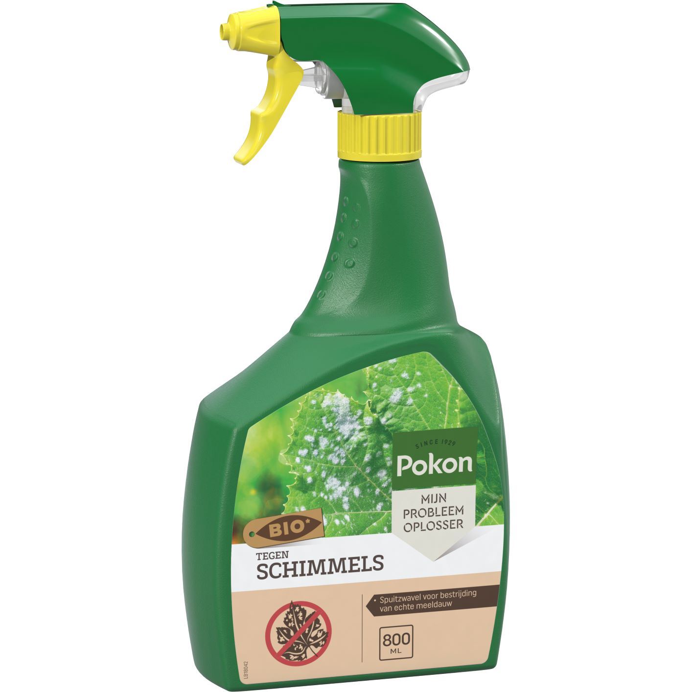 Pokon Bio Tegen Schimmels Spray 800ml - Gewasbescherming - Biologisch - Binnen - Voor Kamerplanten - Tegen Meeldauw afbeelding