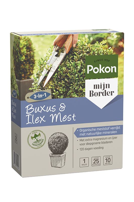 Pokon meststof voor buxus&ilex - 1 kg afbeelding