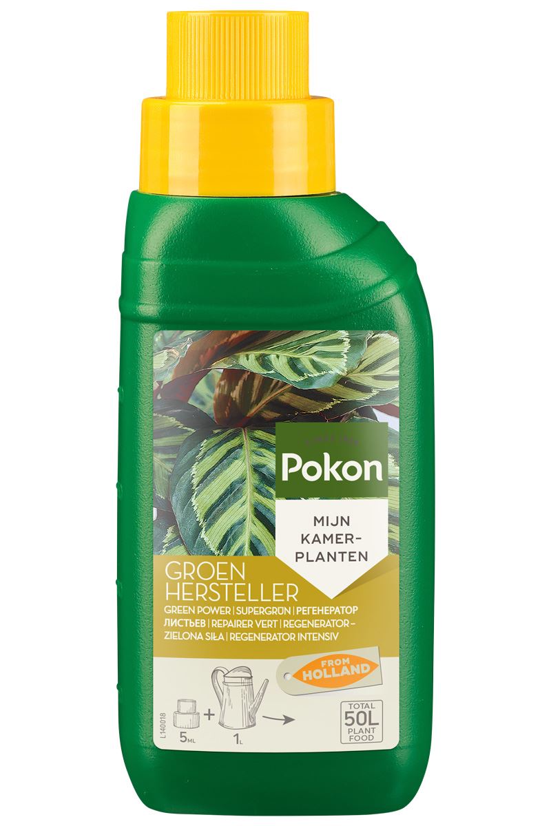Pokon Groenhersteller - Meststof - 250ml - Herstelt Gele Bladeren - Stimuleert Chlorofylgroei - Voor Planten met IJzertekort afbeelding
